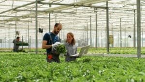 consulenza agronomica